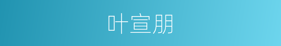 叶宣朋的同义词