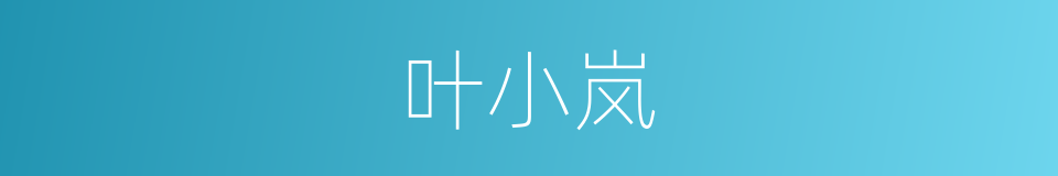 叶小岚的同义词