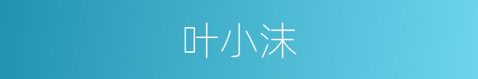 叶小沫的同义词