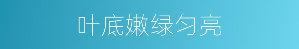 叶底嫩绿匀亮的同义词