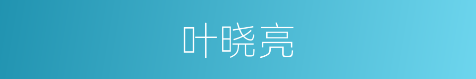 叶晓亮的同义词