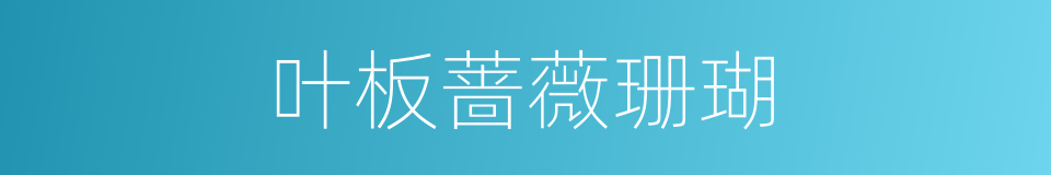 叶板蔷薇珊瑚的同义词