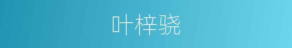 叶梓骁的同义词