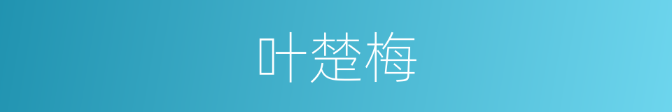 叶楚梅的同义词