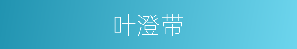 叶澄带的同义词