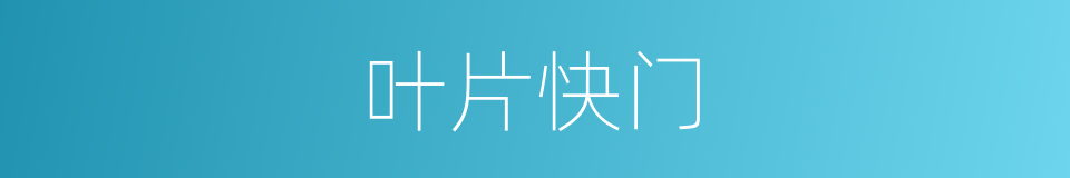 叶片快门的意思