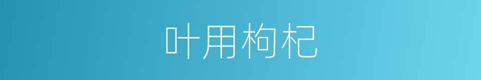 叶用枸杞的同义词