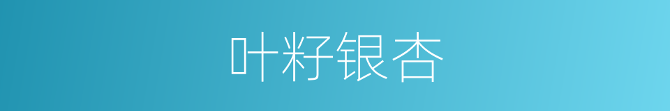 叶籽银杏的同义词
