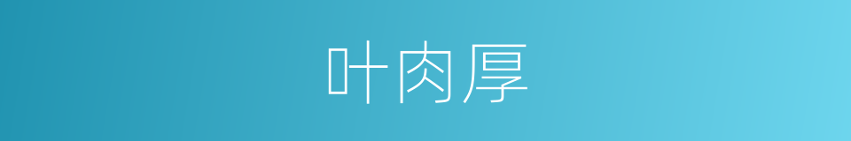 叶肉厚的同义词