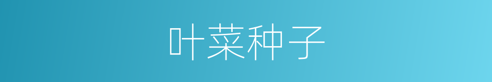 叶菜种子的同义词