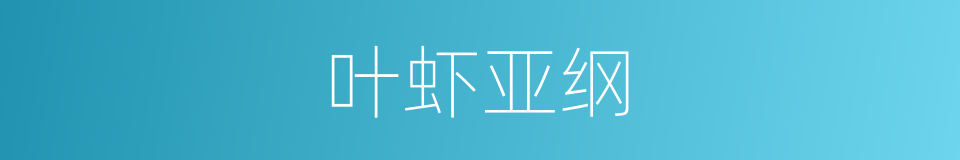 叶虾亚纲的同义词