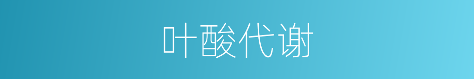 叶酸代谢的同义词