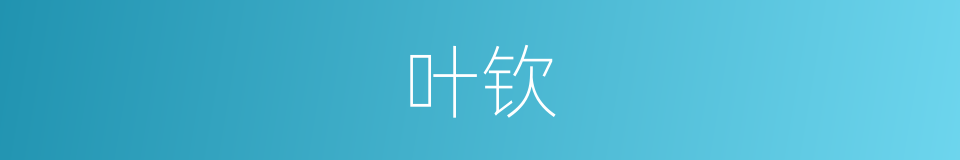 叶钦的同义词