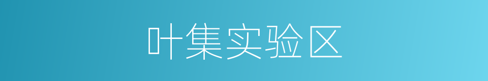 叶集实验区的同义词