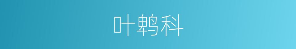 叶鹎科的同义词