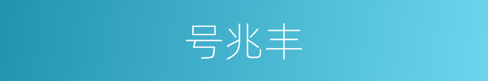 号兆丰的同义词