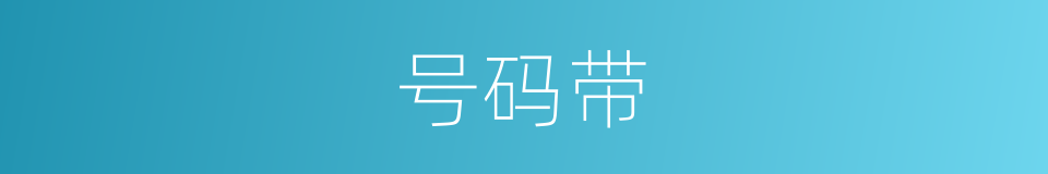 号码带的同义词