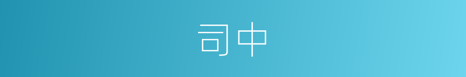 司中的同义词