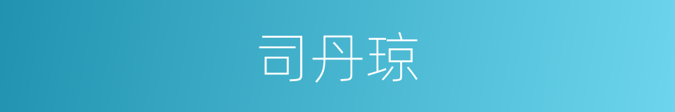 司丹琼的同义词