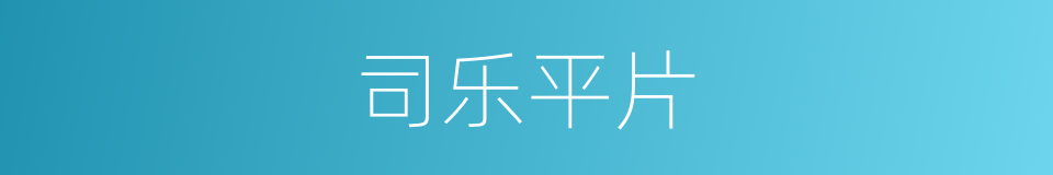 司乐平片的同义词