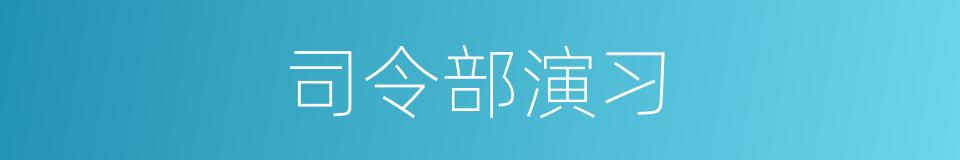 司令部演习的同义词