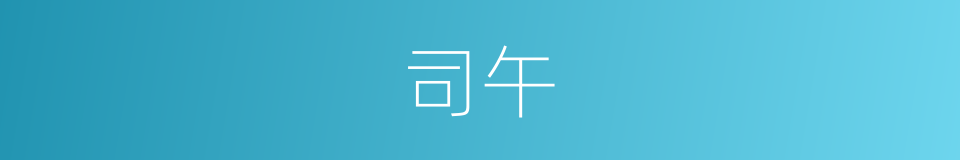 司午的同义词