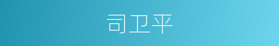 司卫平的同义词