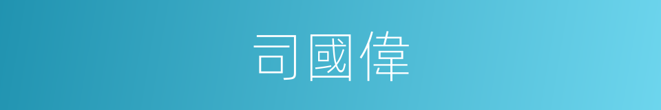 司國偉的同義詞