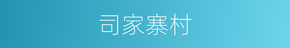 司家寨村的同义词