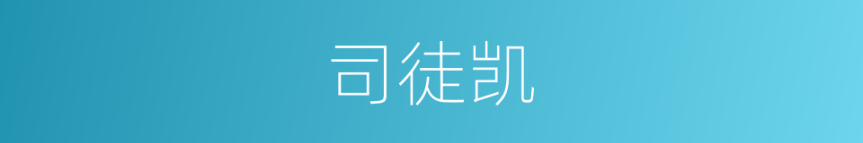 司徒凯的同义词
