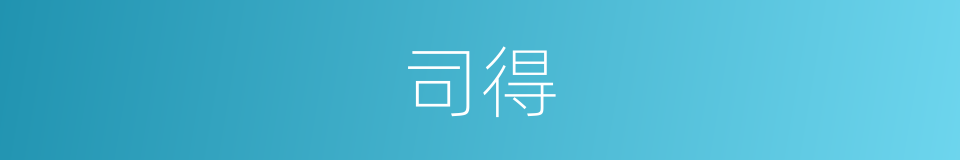 司得的同义词