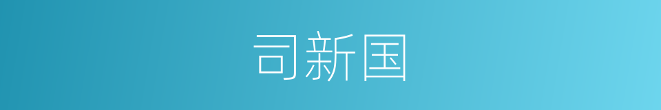 司新国的同义词