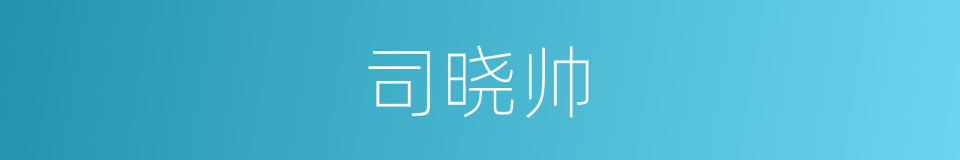 司晓帅的同义词