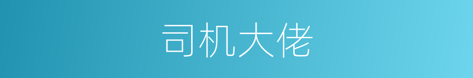 司机大佬的同义词