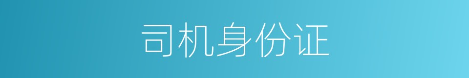 司机身份证的同义词