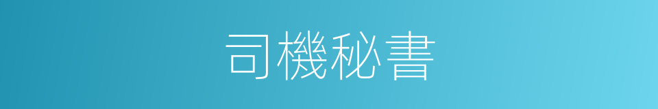 司機秘書的同義詞