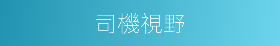司機視野的同義詞