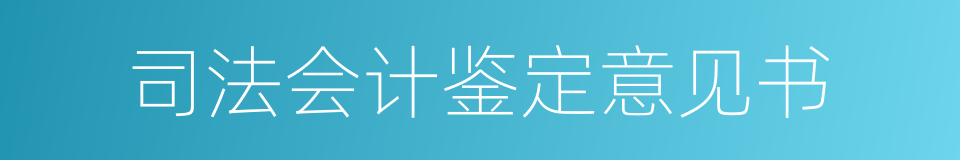 司法会计鉴定意见书的同义词