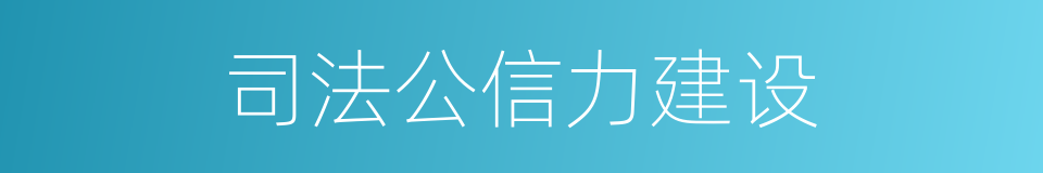 司法公信力建设的同义词