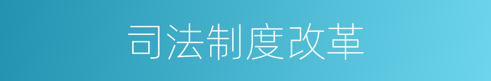 司法制度改革的同义词
