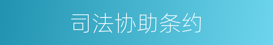司法协助条约的同义词