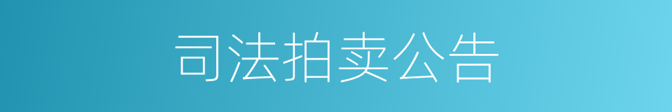 司法拍卖公告的同义词