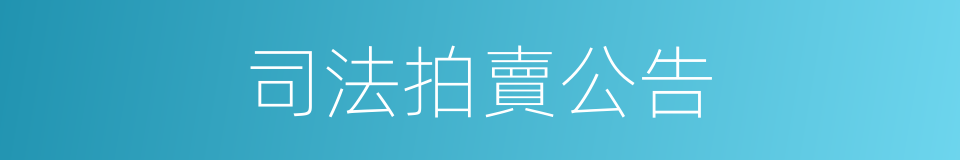 司法拍賣公告的同義詞