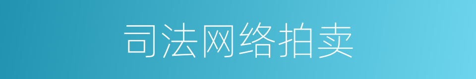 司法网络拍卖的同义词