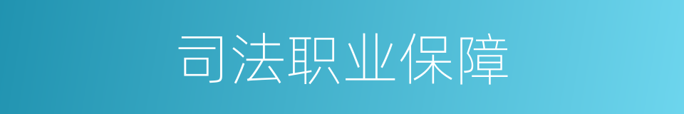 司法职业保障的同义词