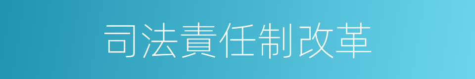 司法責任制改革的同義詞
