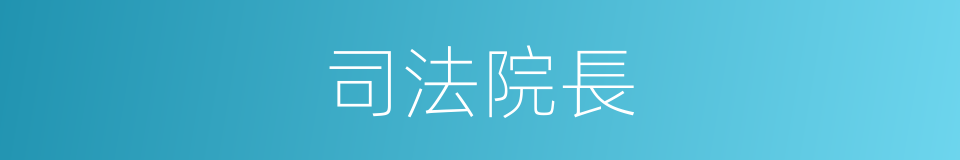 司法院長的同義詞