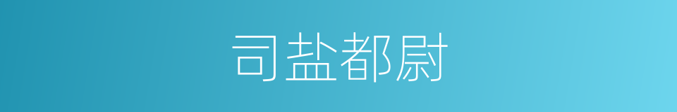 司盐都尉的同义词