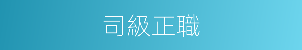 司級正職的同義詞