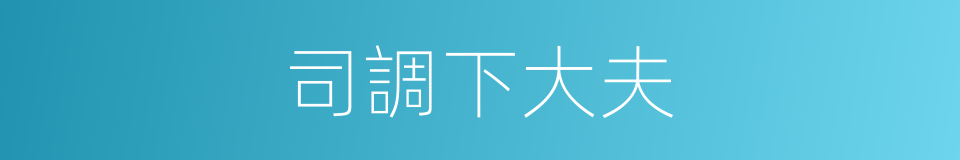 司調下大夫的同義詞